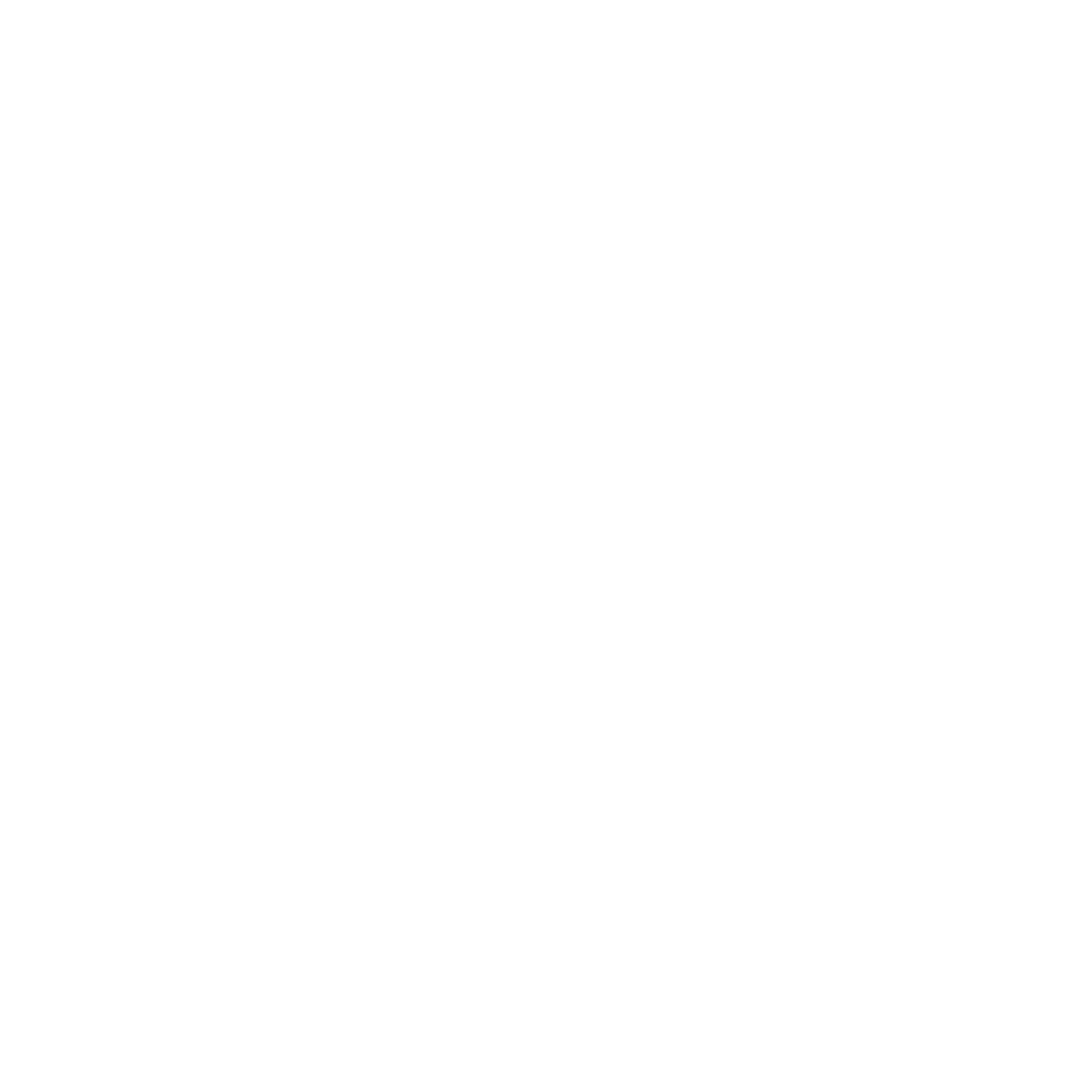 flipkart logo